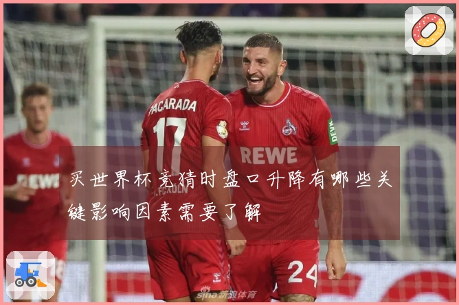 买世界杯竞猜时盘口升降有哪些关键影响因素需要了解